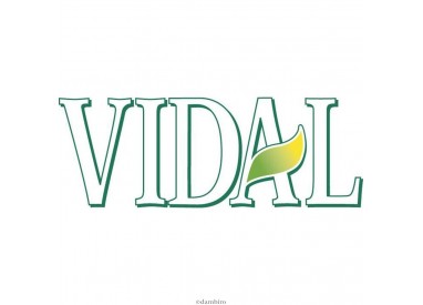 logo-vidal
