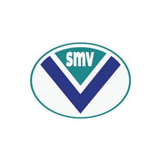 logo-vivenzi