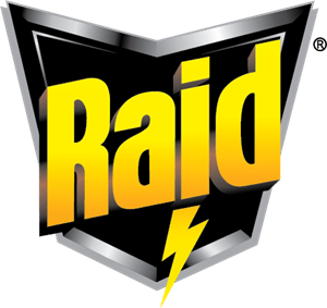 logo-raid