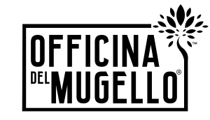 logo-officina del mugello