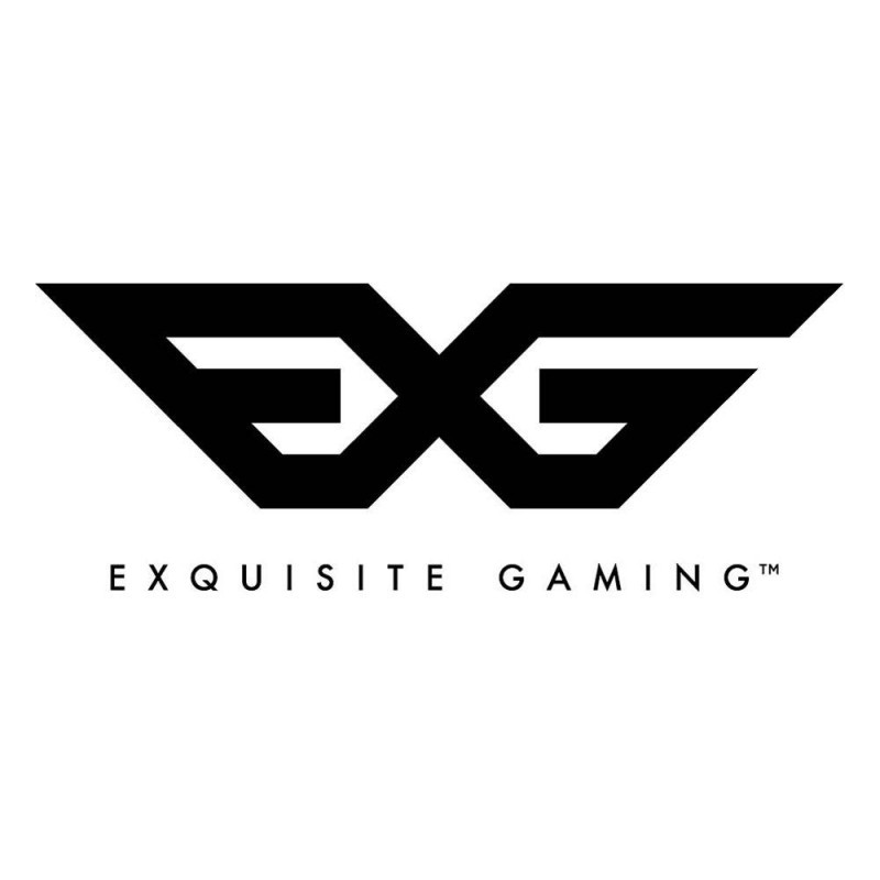 logo-exquisite gaming