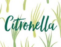logo-citronella