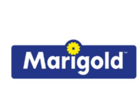 logo-marigold