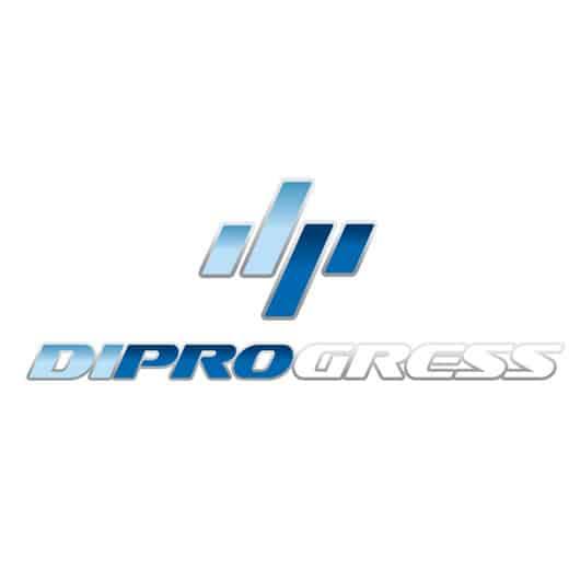 logo-diprogress