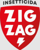 logo-zig-zag