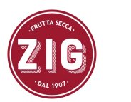 logo-zig