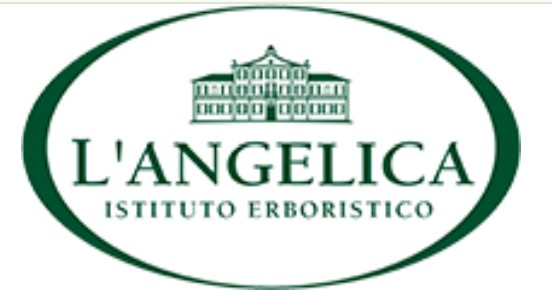 logo-angelica