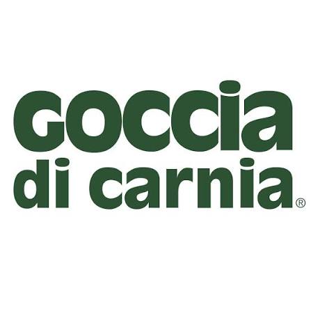 logo-goccia di carnia