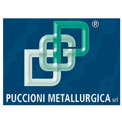 logo-puccioni metallurgica srl