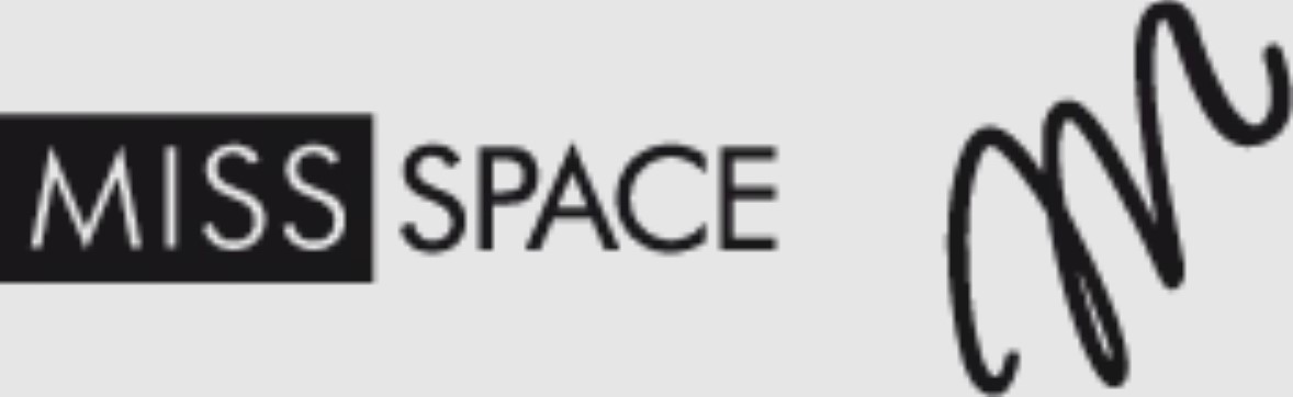 logo-miss space