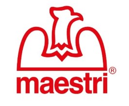 logo-maestri spa