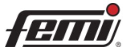 logo-femi spa