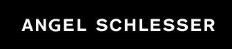 logo-angel schlesser
