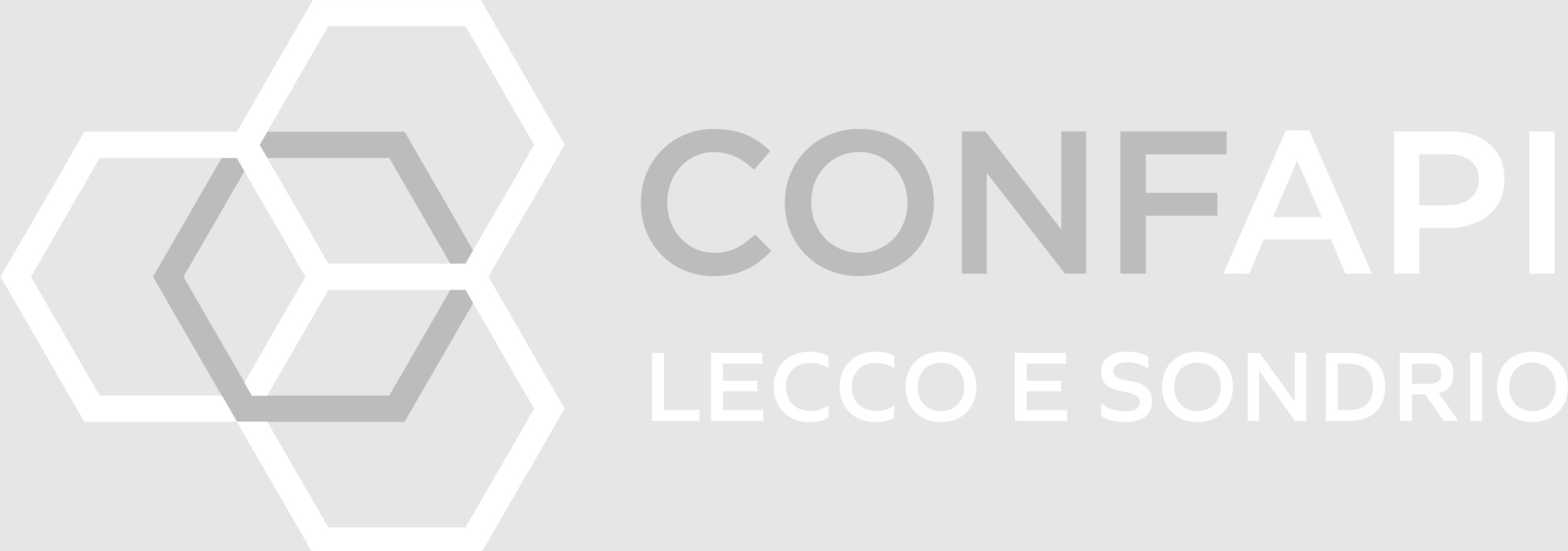 logo-riva luigi & angelo